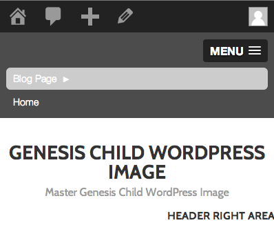 Slick navigation on Genesis Theme WordPress