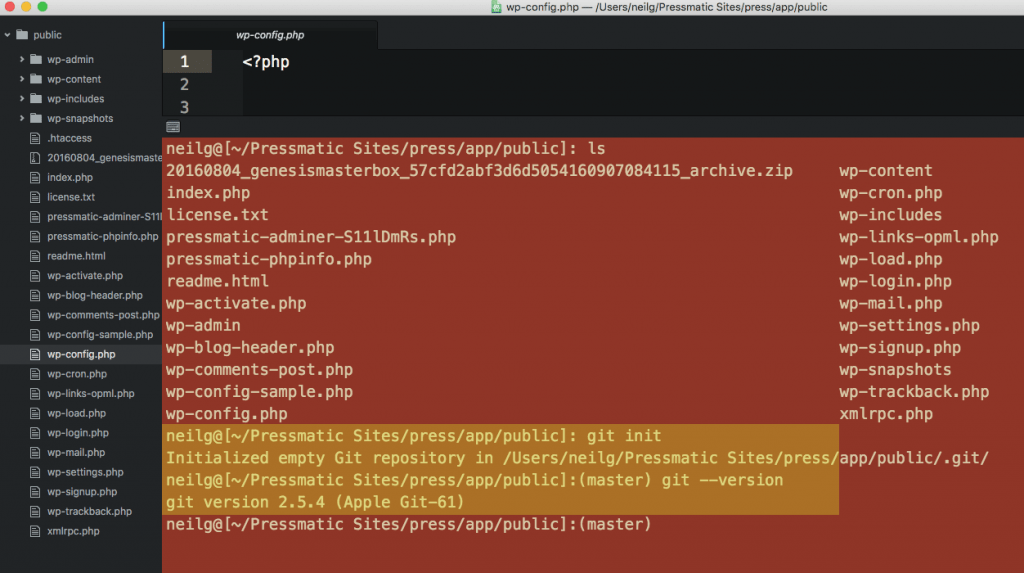 Using 'Local by FlyWheel' as a Local Development Workflow for WordPress ...
