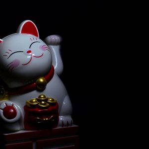 Output Custom Taxonomy Terms