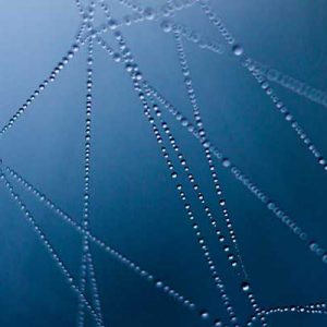 Php Connect Mysql Output Data