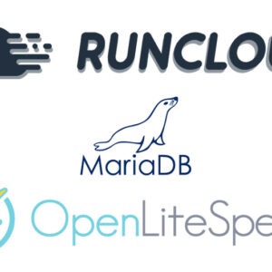 Runcloud Mariadb Openlitespeed