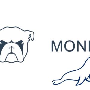 Monit Mariadb